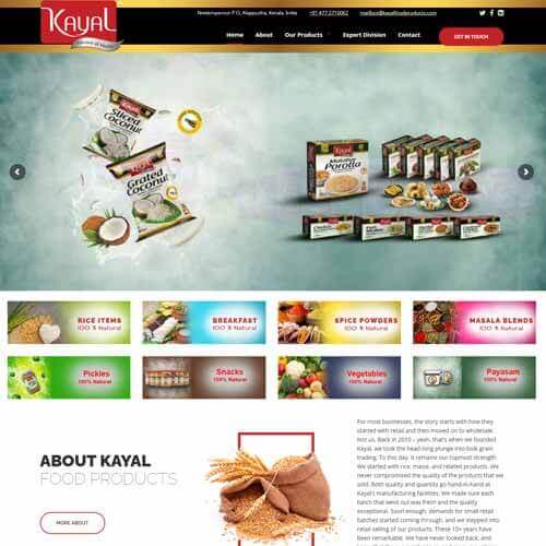 Website designing work in Kottayam